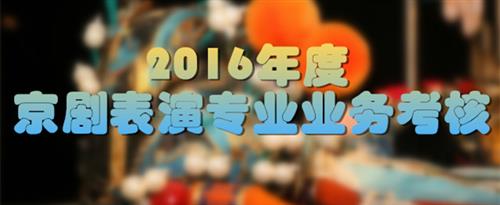 骚b网址国家京剧院2016年度京剧表演专业业务考...